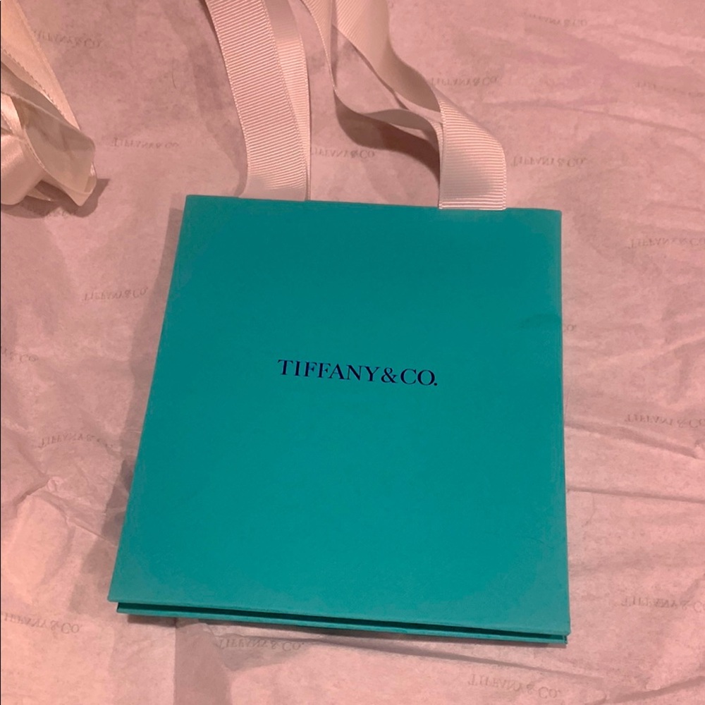 Tiffany & Co. Blue Gift Bag, authentic, smaller size, new fabric handles design.